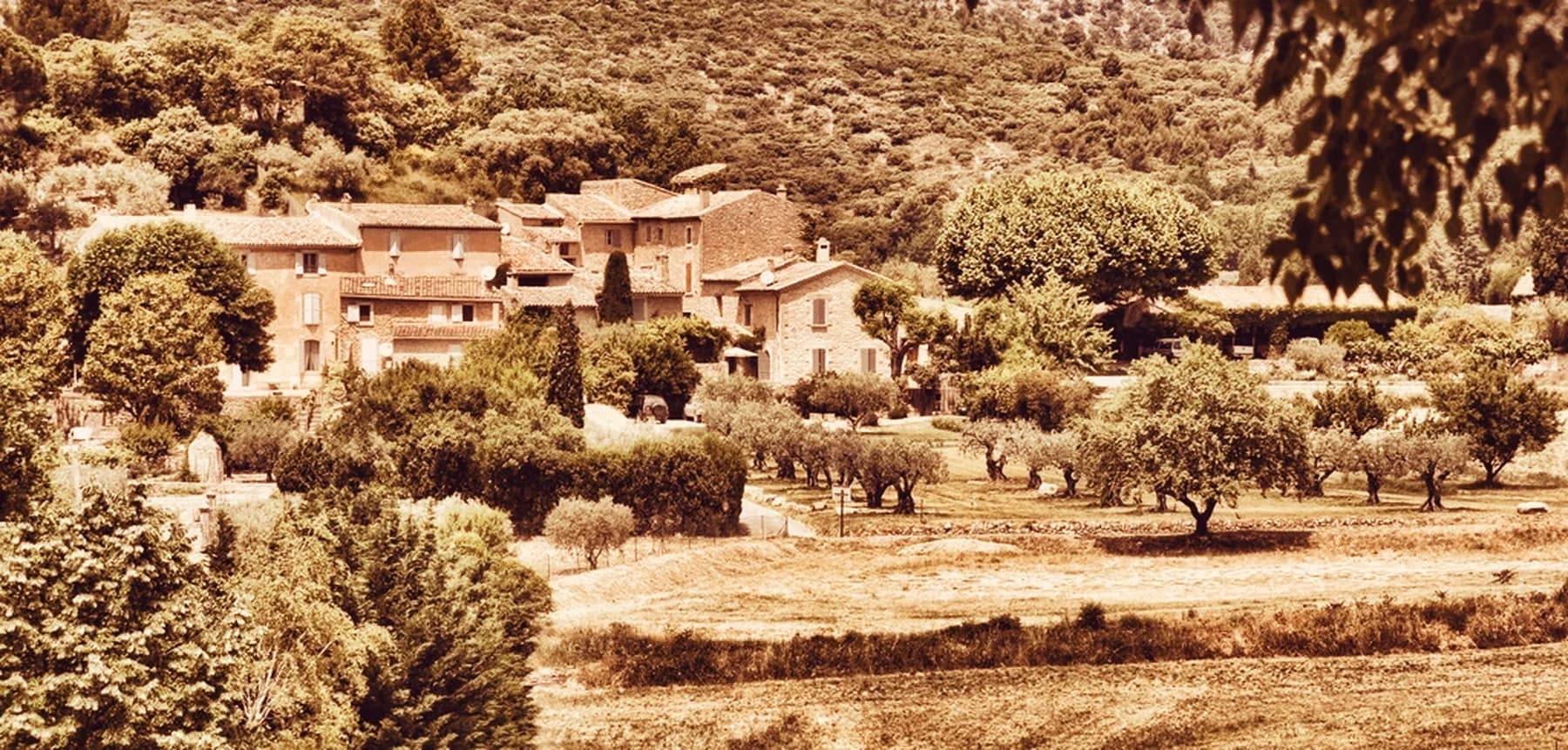 Un village français au creux de ses coteaux, maisons de pierre et oliviers